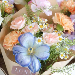 اخذ ویزای تحصیلی از طریق دوره های زبان